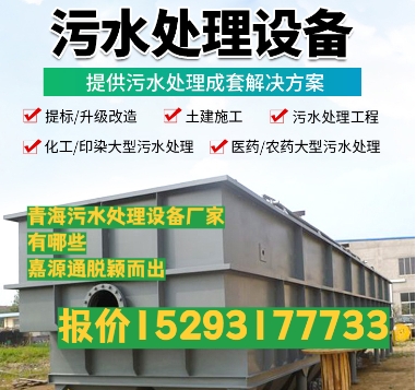 岱岳养殖污水处理设备